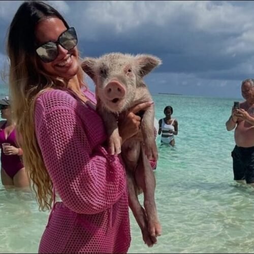 WhatsApp Image 2025-09-12 at 12.27.12 AM